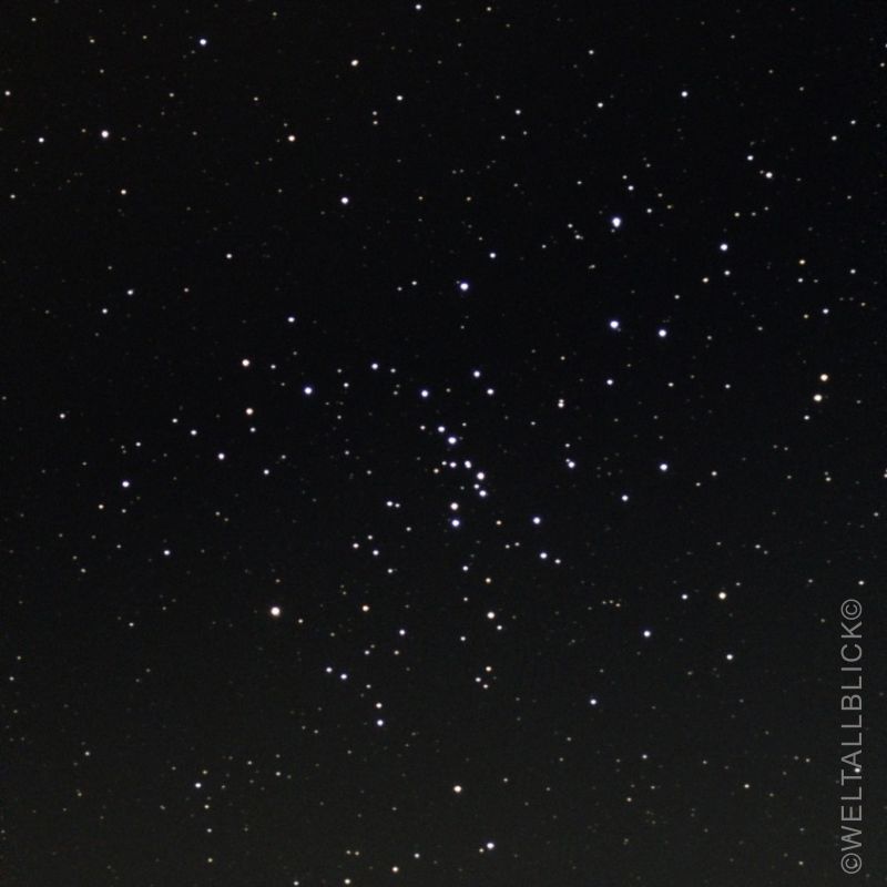 m48c