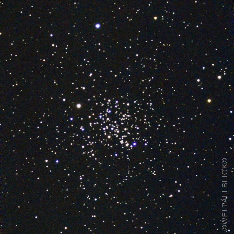m67 golden eye haufen6
