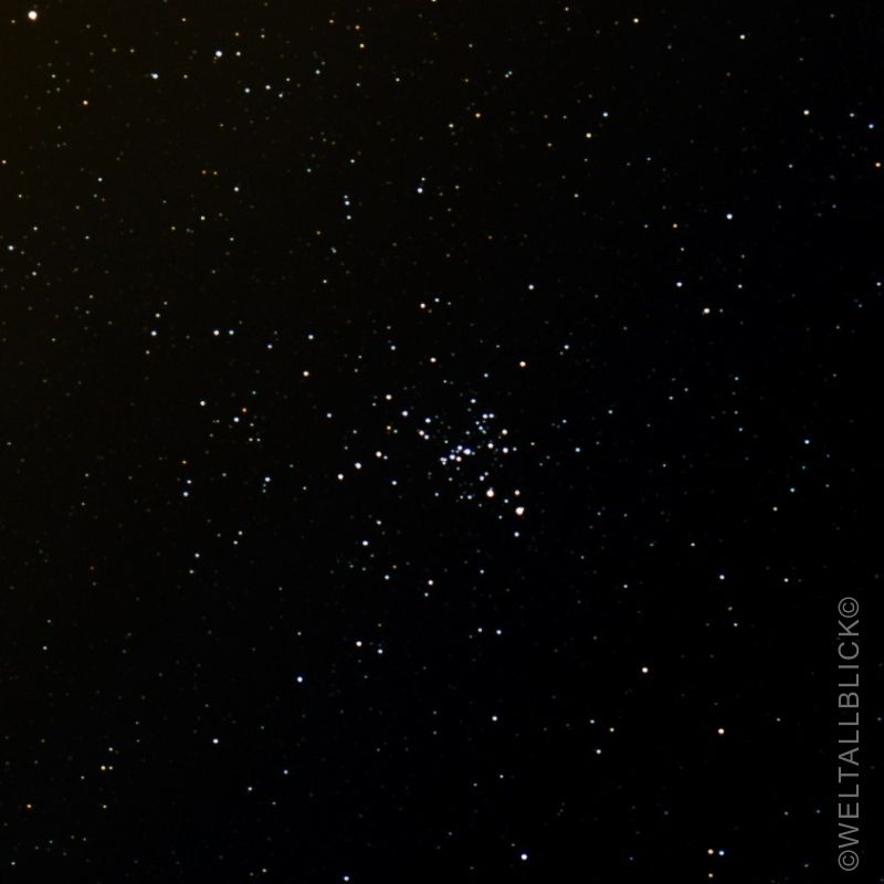 m93 schmetterliing haufen c